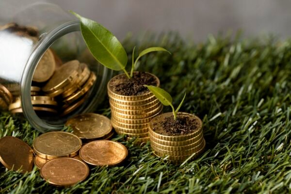 monedas en pasto